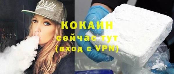 хмурый Губаха