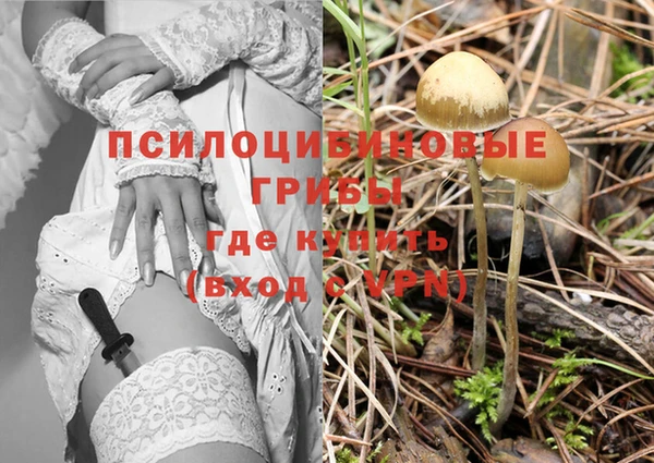 кристаллы Краснослободск