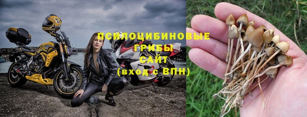мдпв Кукмор