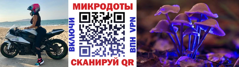 Галлюциногенные грибы мухоморы  Киржач 